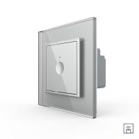 Одноклавишный сенсорный выключатель Livolo Module с функцией радиоуправления, цвет серый