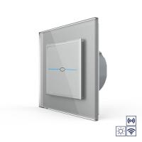 Сенсорный импульсный радиоуправляемый выключатель Livolo Quadro сухой контакт 1 клавиша Серый