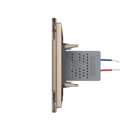 Розетка двойная USB LIVOLO с блоком питания 5В 2.1А золотая VL-C792USB-13