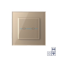 Сенсорный импульсный радиоуправляемый выключатель Livolo Quadro сухой контакт 2 клавиши Золотой