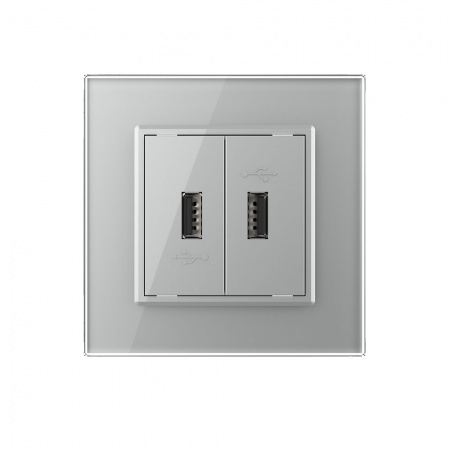 Розетка двойная USB LIVOLO с блоком питания 5В 2.1А серая VL-C792USB-15