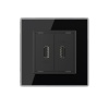 Розетка двойная USB LIVOLO с блоком питания 5В 2.1А черная VL-C792USB-12