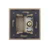 Розетка мультимедийная VIDEO RCA LIVOLO золотая VL-C791VD-13