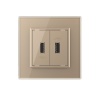 Розетка двойная USB LIVOLO с блоком питания 5В 2.1А золотая VL-C792USB-13