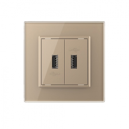 Розетка двойная USB LIVOLO с блоком питания 5В 2.1А золотая VL-C792USB-13